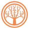 icons8-tms-tree-100